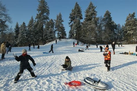 Winter Events in Flagstaff