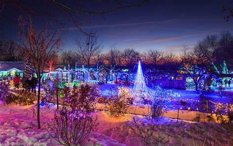 Winter Garden aGlow