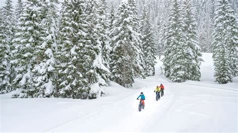 Family on a winter outing