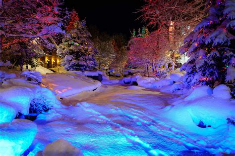 Winter Wonderland Scene with Snowflakes, Trees, and Animals