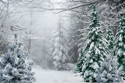 Winter Wonderland Backdrop