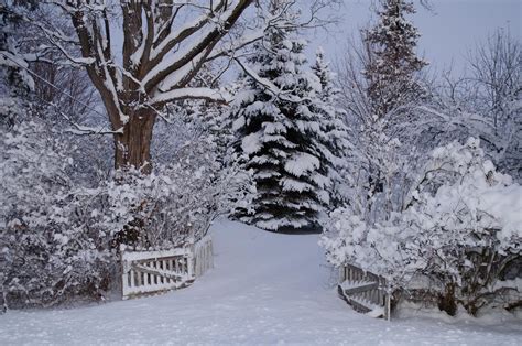 Winter Wonderland Snow