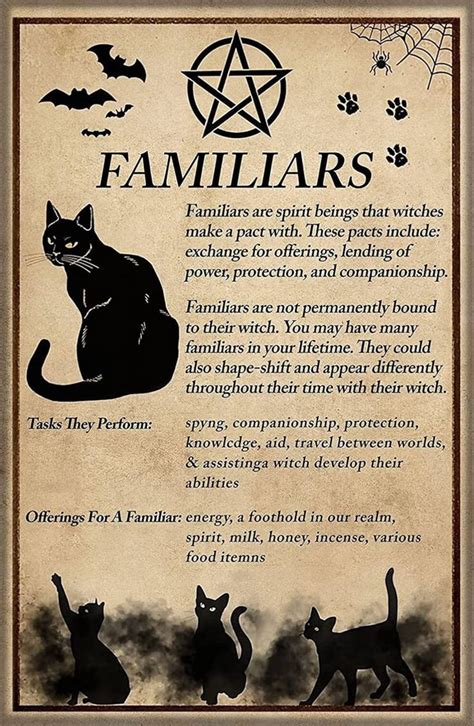 Witch's Familiar Cat Silhouette Templates