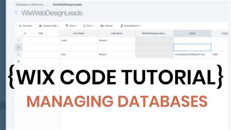 Wix Database