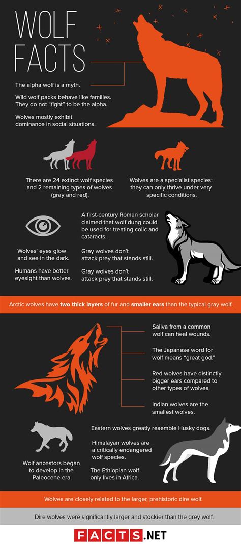 Wolf Facts