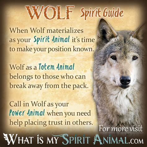 Wolf symbolism and meaning