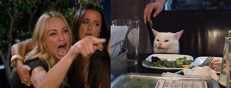 A classic version of the Woman Screaming at Cat meme, featuring Taylor Armstrong and a cat.