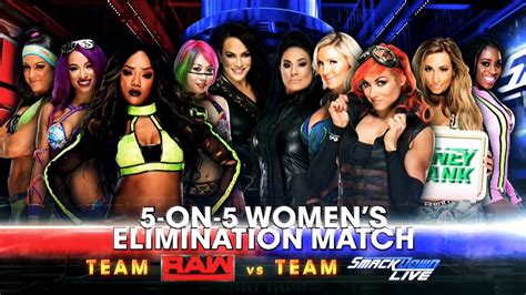 Womens Survivor Series Match