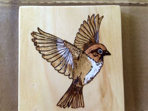 Bird Design for Wood Burning