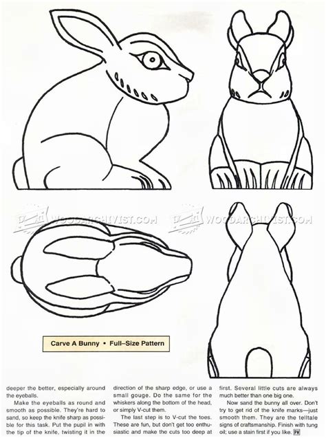 A template for creating rabbet joints