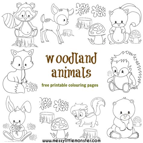 Woodland animals coloring page gallery