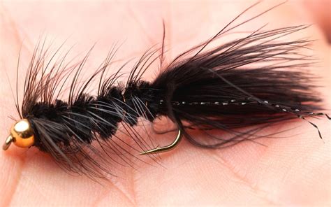 A Woolly Bugger fly tied on a hook