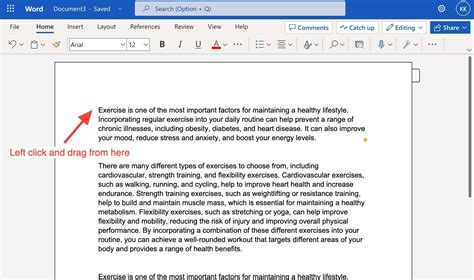 Word Document Example