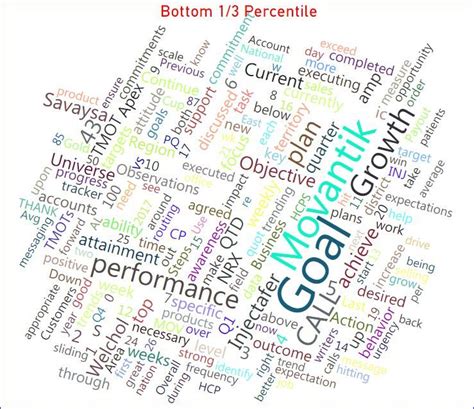 Word Cloud Visualization