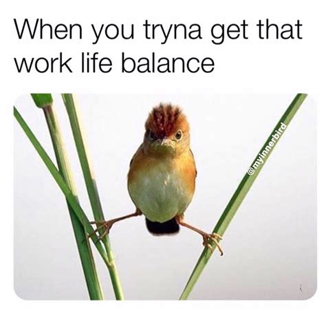 Work-Life Balance Meme Image