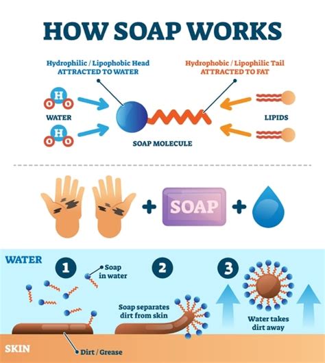 Working Mechanisms of Antibacterial Soap