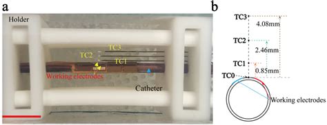 Working Mechanisms of Tagc3 Technology