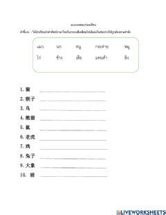 Worksheet collection