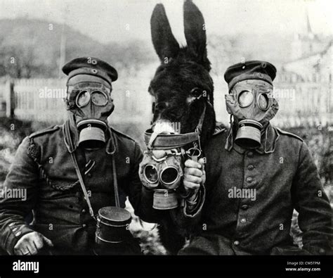 Gas masks during World War I