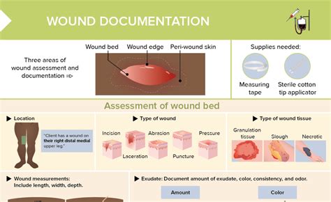 Wound Assessment and Documentation Techniques