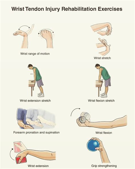 Wrist Flexion Exercise 5