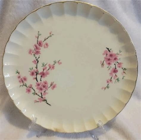 W.S. George China Fine Bone