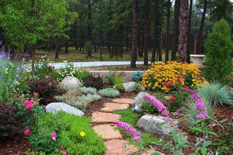 Xeriscape: A Type of Landscaping