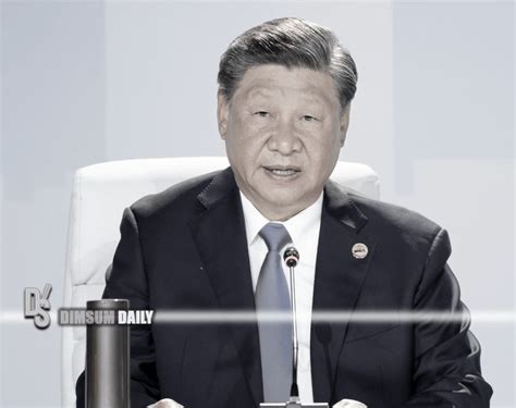 Xi Jinping's economic risk