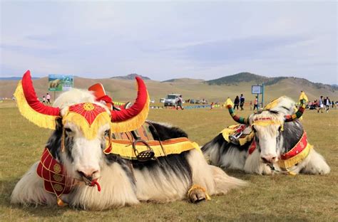 Locals celebrating the Yak Festival in the Himalayas