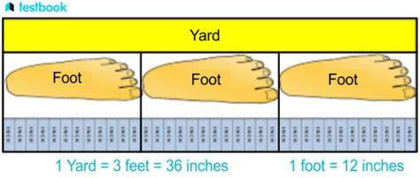 Yard to Feet Conversion Examples