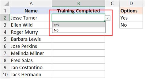 Yes No Dropdown Excel