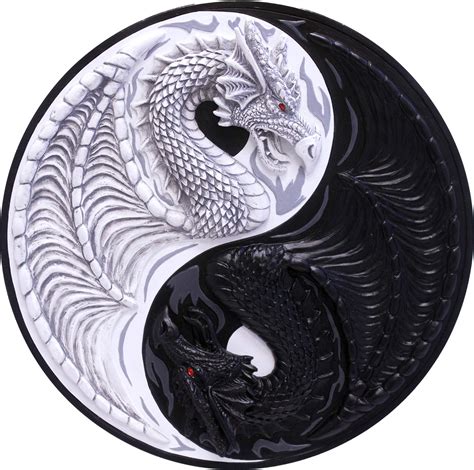 Yin Yang Dragon Philosophy