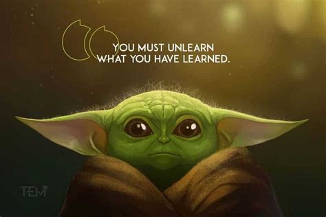 Yoda Inspiration for Education