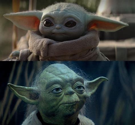 Yoda Meme Template