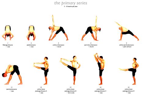 Yoga Pose Categories