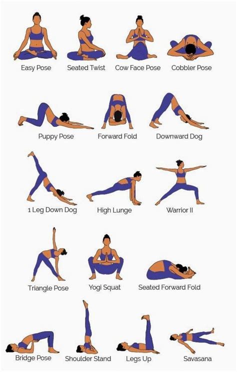 Yoga Poses for Beginners Image 1