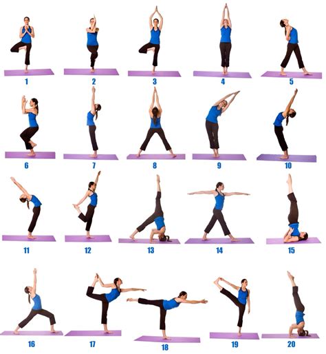 Yoga Poses for Beginners Image