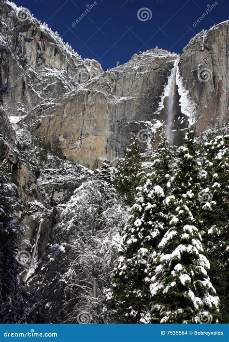 Yosemite Christmas Tree