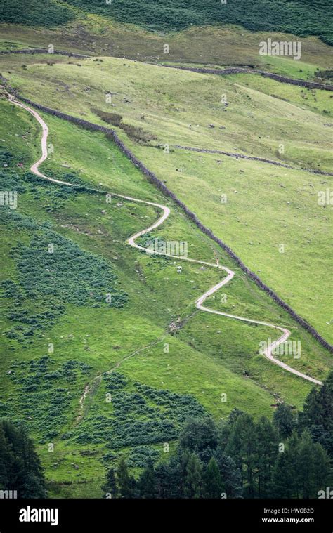 A hiking trail with a zigzag path