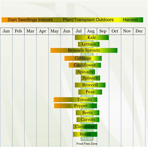 Zone 3 Planting Schedule