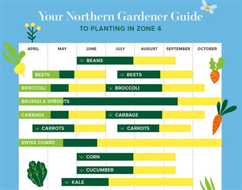 Zone 4 Planting Schedule