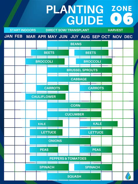 Zone 6 Planting Schedule