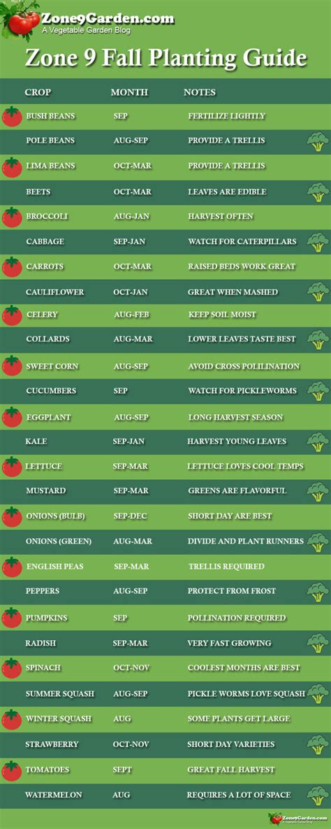 Zone 9 Planting Schedule