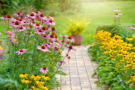 Zone 9b Flower Garden