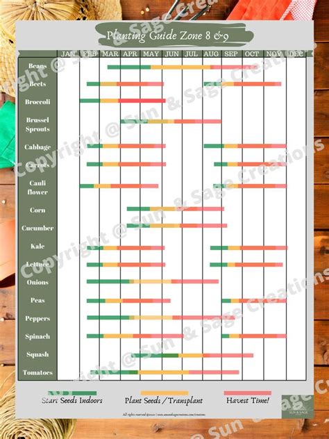 Zone 9b Flower Planting Schedule