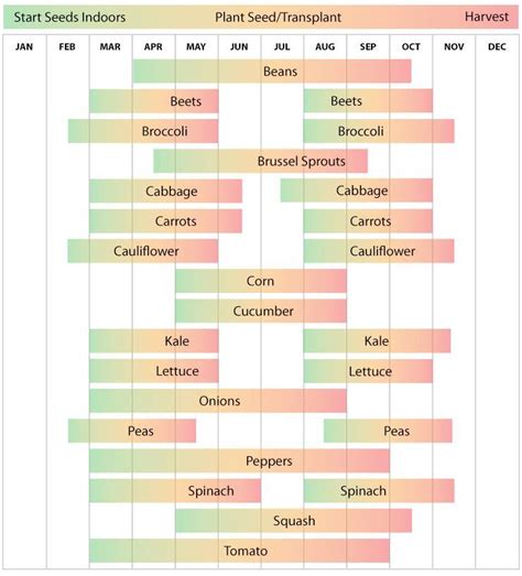 Zone 9b Vegetable Planting Schedule