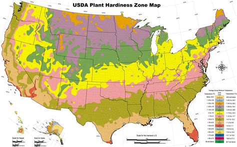 Benefits of 9 Zone Planting Schedules