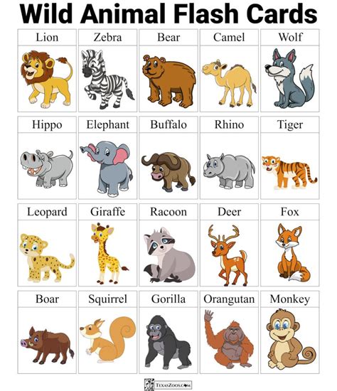 Zoo Animal Flashcards