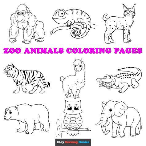 Coloring page featuring a giraffe and other zoo animals