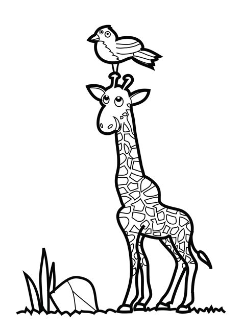 Coloring page featuring a giraffe